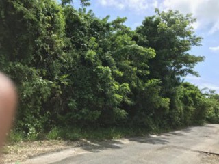 Resort/vacation property For Sale in Portland, St. Thomas Jamaica | [2]