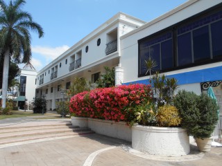 Commercial building For Rent in New Kingston, Kingston / St. Andrew Jamaica | [8]
