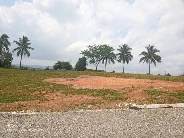 Residential lot For Sale in Linstead, St. Catherine Jamaica | [7]