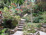 House For Sale in Kensington District, St. James Jamaica | [4]