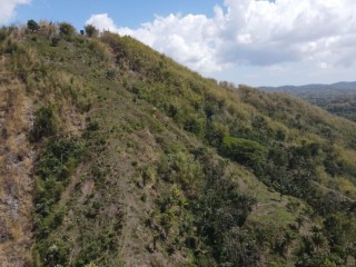 Commercial/farm land For Sale in Brandon Hill, Kingston / St. Andrew, Jamaica