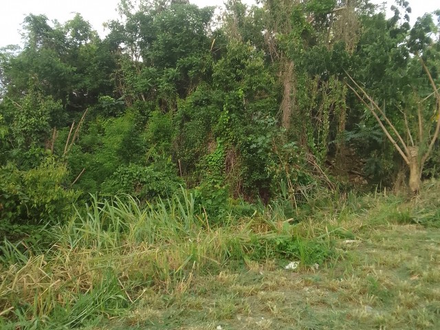 Residential lot For Sale in Chancery Hall, Kingston / St. Andrew Jamaica | [3]
