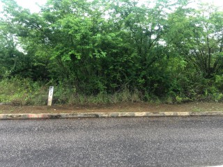 Residential lot For Sale in lacovia, St. Elizabeth, Jamaica