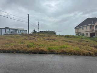 Residential lot For Sale - Spur Tree, Manchester, Jamaica