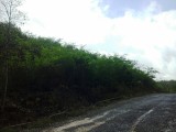 Residential lot For Sale in St Jago Hills, St. Catherine Jamaica | [12]