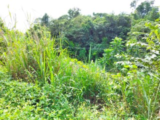 Land For Sale in Linstead, St. Catherine, Jamaica