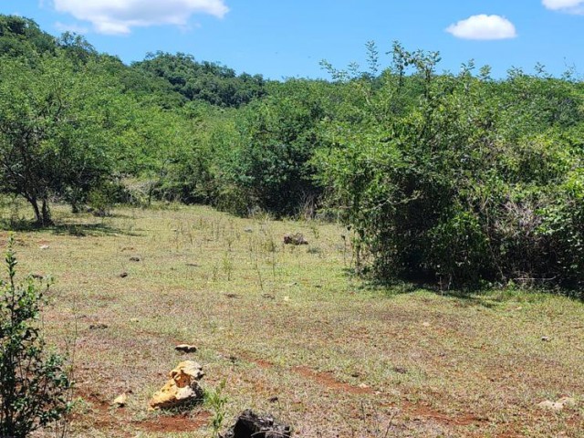 Development Land (Residential) For Sale - OldHope little london, Westmoreland, Jamaica