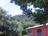 Residential lot For Sale in Whithorn, Westmoreland Jamaica | [2]