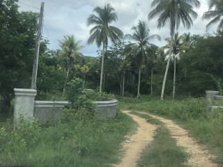 Residential lot For Sale in Orangefield District Linstead, St. Catherine, Jamaica
