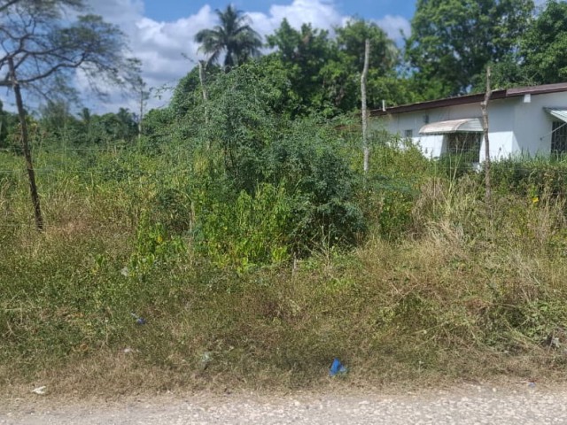 Residential lot For Sale in Homstead Park, St. Catherine Jamaica | [11]
