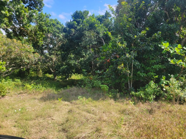 Development Land (Residential) For Sale in Jackson Town, Trelawny Jamaica | [9]