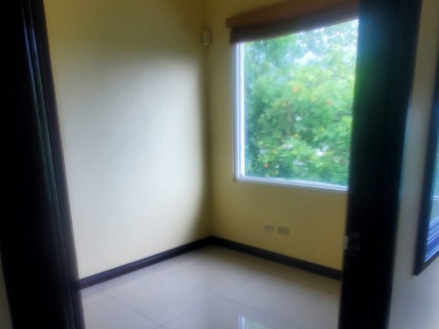 Commercial building For Rent in Lady Musgrave Road, Kingston / St. Andrew Jamaica | [6]