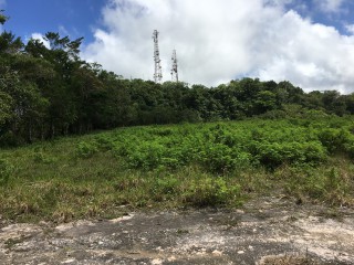Residential lot For Sale in Chippenham Park Bamboo, St. Ann Jamaica | [8]