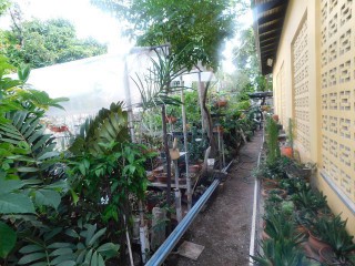 Commercial building For Sale in Windsor Avenue, Kingston / St. Andrew Jamaica | [11]