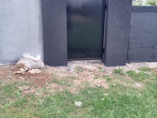 House For Sale in Discovery Bay, St. Ann Jamaica | [2]