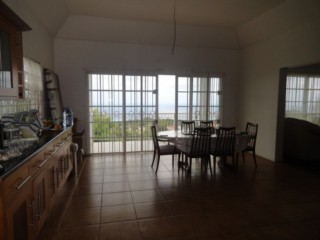 Apartment For Rent in TORADO HEIGHTS, St. James Jamaica | [1]