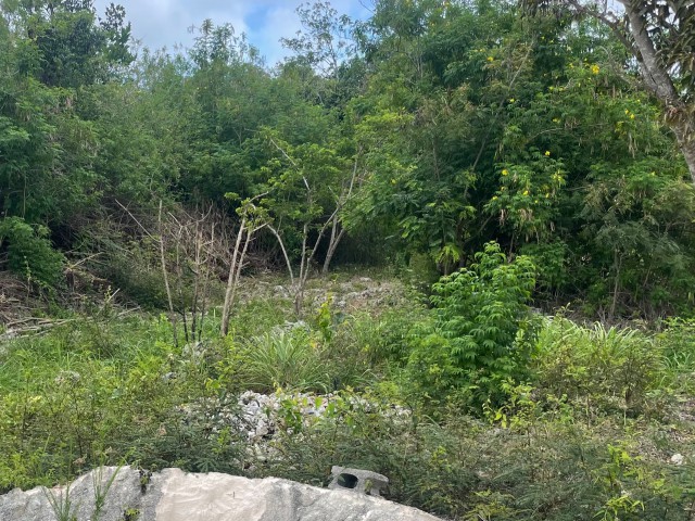 Land For Sale in Bull Savannah, St. Elizabeth Jamaica | [2]
