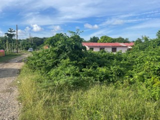 Residential lot For Sale in Galina, St. Mary, Jamaica