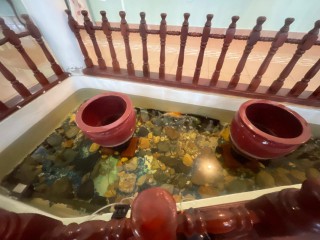 House For Sale in Golden Acres  Red Hills, Kingston / St. Andrew Jamaica | [6]