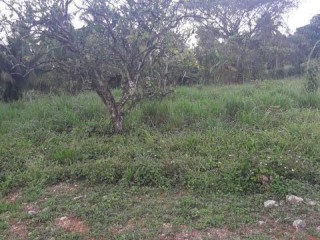 Residential lot For Sale in Linestead, St. Catherine Jamaica | [1]