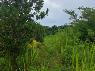 2 bed Commercial/farm land For Sale – Wilmington, St. Thomas, Jamaica