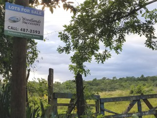 Commercial/farm land For Sale in Trelawny, Trelawny Jamaica | [4]