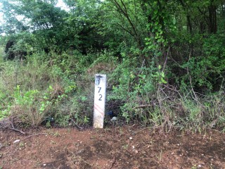 Residential lot For Sale in lacovia, St. Elizabeth Jamaica | [2]