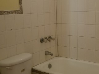 House For Rent in liguanea, Kingston / St. Andrew Jamaica | [8]