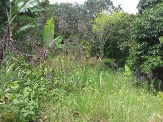 House For Sale in Christiana, Manchester Jamaica | [13]