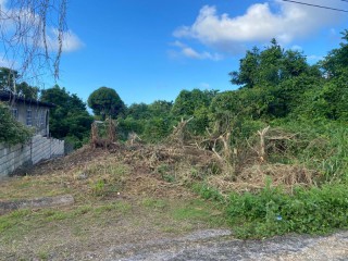 Residential lot For Sale in Industry Pen, St. Mary, Jamaica