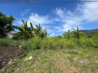 Land For Sale in Tower Isle, St. Mary, Jamaica