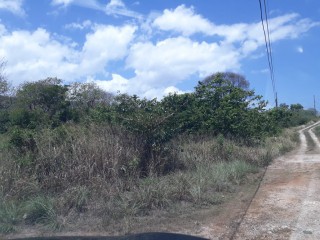 Residential lot For Sale in GREENSIDE, Trelawny Jamaica | [3]