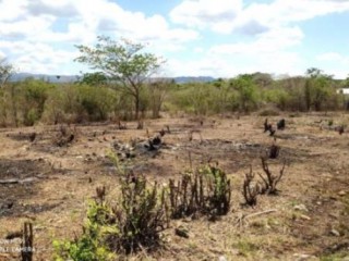 Residential lot For Sale in Palmers Cross PA, Clarendon Jamaica | [6]