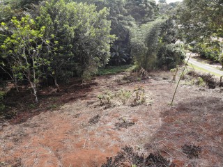 Residential lot For Sale in Pioria, Manchester Jamaica | [9]