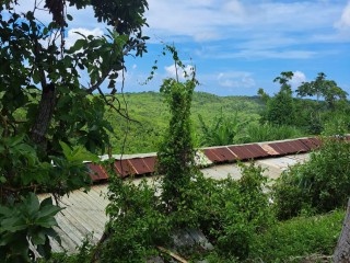 Land For Sale – Rio Bueno, Trelawny, Jamaica