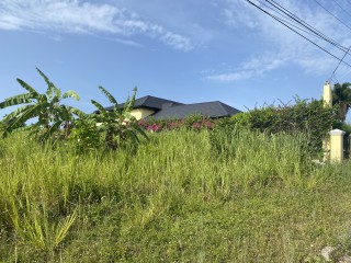 Land For Sale in Tower Isle, St. Mary, Jamaica