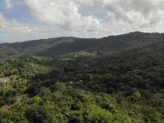 Land For Sale in Lime Hall, St. Ann, Jamaica
