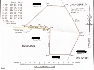 Land For Sale - Ewarton, St. Catherine, Jamaica