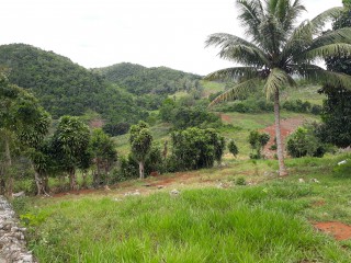 Residential lot For Sale in Lumsden, St. Ann Jamaica | [4]