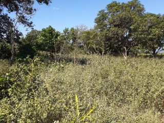 Residential lot For Sale in Nain, St. Elizabeth Jamaica | [6]