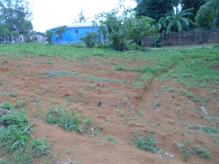 Land For Sale in Mandeville, Manchester, Jamaica