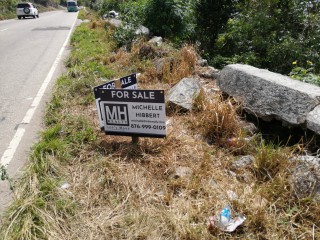Commercial land For Sale in Spur Tree, Manchester Jamaica | [3]