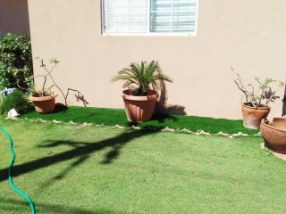 House For Rent in Caymanas Estate, St. Catherine Jamaica | [10]