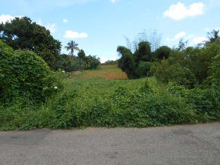 Land For Sale in Mandeville, Manchester, Jamaica