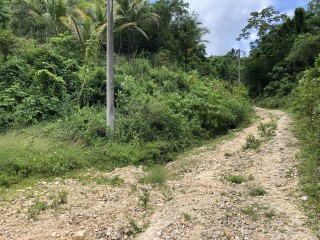 Commercial/farm land For Sale in Dover Castle Redwood St Catherine, St. Catherine, Jamaica