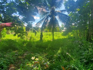 Residential lot For Sale - Westmoreland, Westmoreland, Jamaica