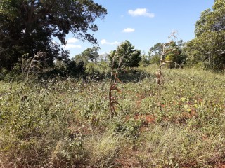 Land For Sale in Nain, St. Elizabeth, Jamaica