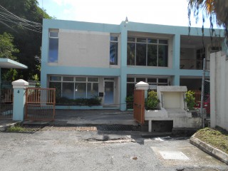 Commercial building For Rent in New Kingston, Kingston / St. Andrew Jamaica | [1]