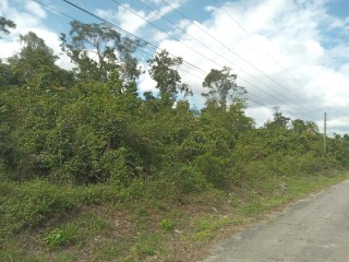 Commercial/farm land For Sale in Browns Town, St. Ann Jamaica | [6]