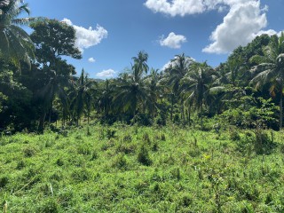 Land For Sale in Guys Hill, St. Mary, Jamaica